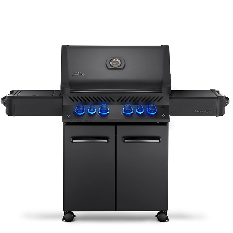Barbecue-marques-Napoleon-22
